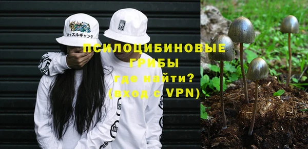 ПСИЛОЦИБИНОВЫЕ ГРИБЫ Сафоново