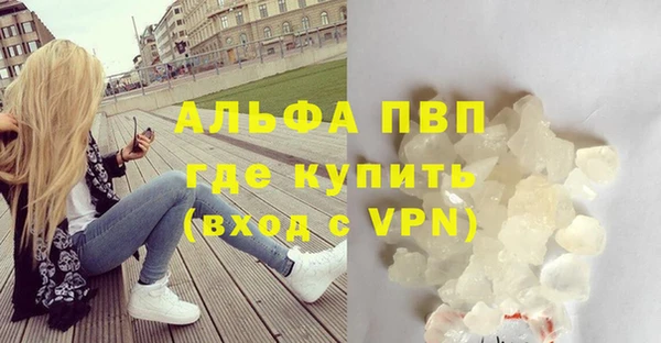 ПСИЛОЦИБИНОВЫЕ ГРИБЫ Сафоново